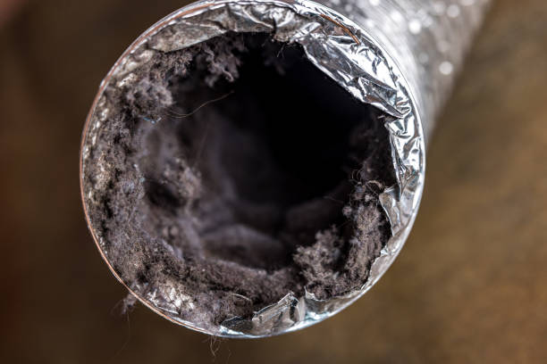 Best Air Duct Cleaning Near Me  in Solon, OH