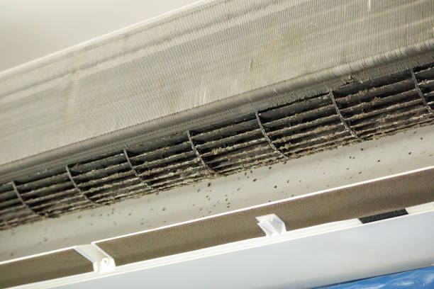 Best Commercial HVAC Duct Cleaning  in Solon, OH